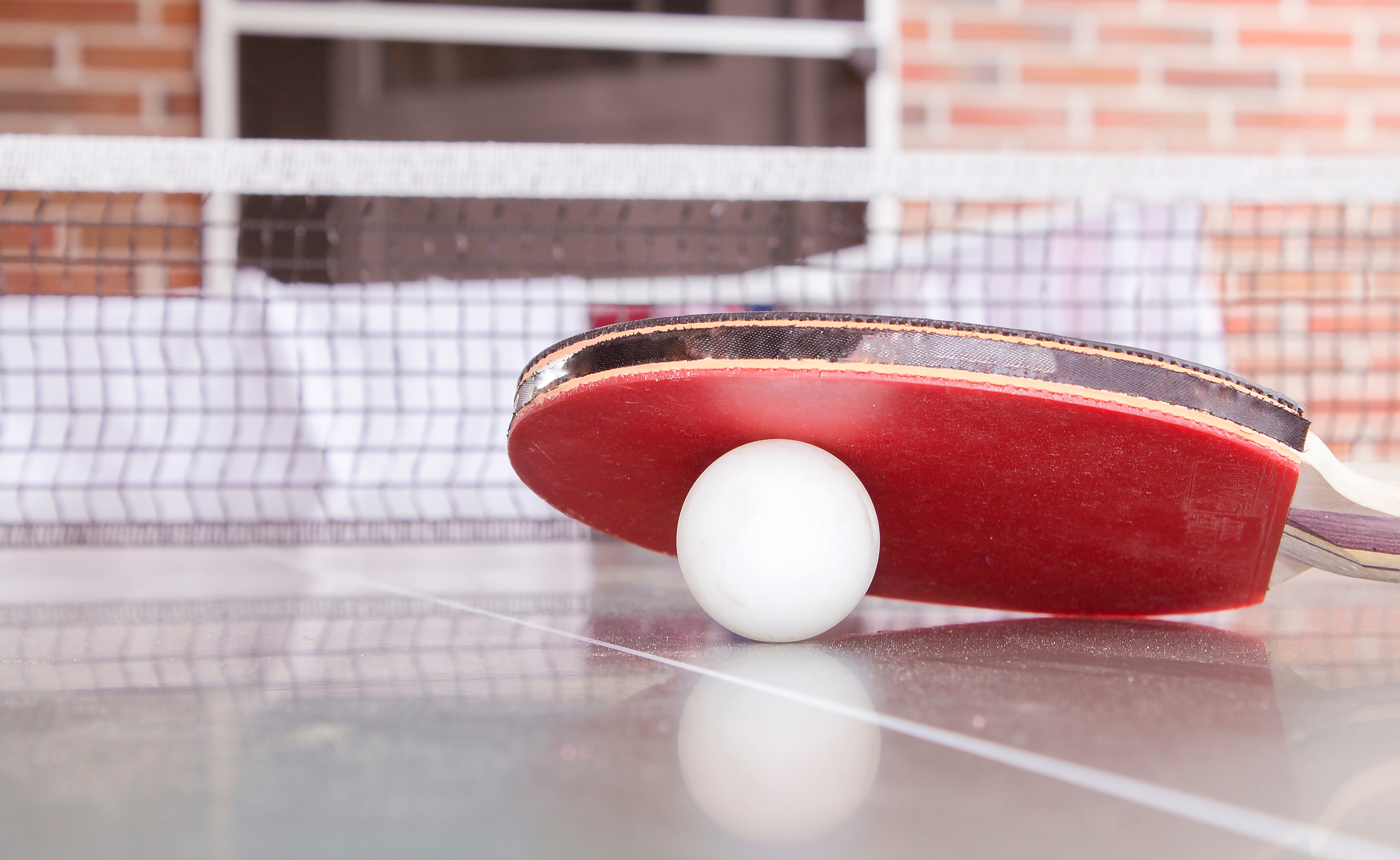 SLTT Tennis de Table